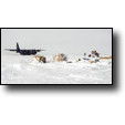 A C-130 aircraft delivering supplies to the Greenland Ice Sheet. (MCM)